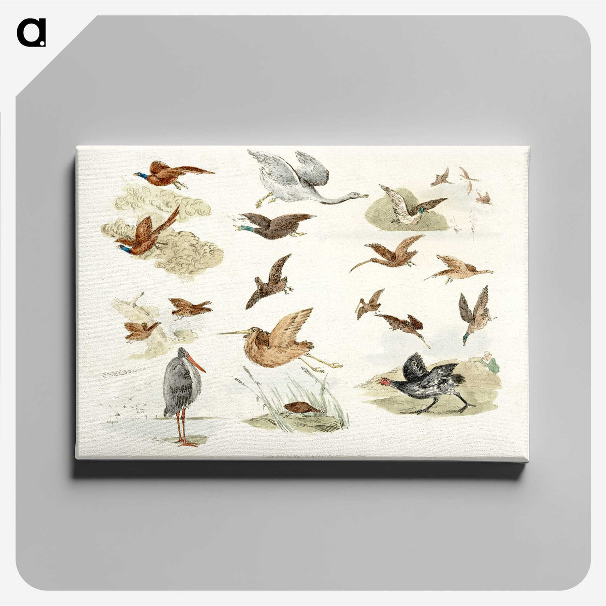 1-11_Sporting-Sketches_canvas
