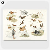 1-11_Sporting-Sketches_picture-crop