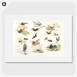 1-11_Sporting-Sketches_picture