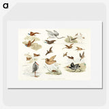 1-11_Sporting-Sketches_picture