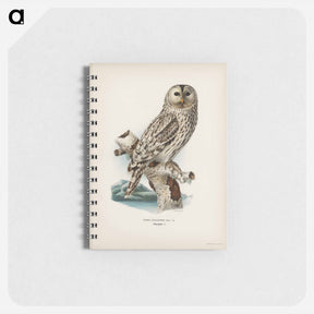 アートメモ帳-Ural Owl
 - スヴェンスカ フォグラル Memo.