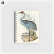 アートメモ帳-Australian Crane
 - オーストラリアの鳥 Memo.