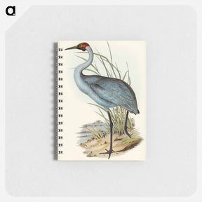 アートメモ帳-Australian Crane
 - オーストラリアの鳥 Memo.