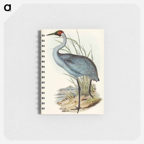 アートメモ帳-Australian Crane
 - オーストラリアの鳥 Memo.