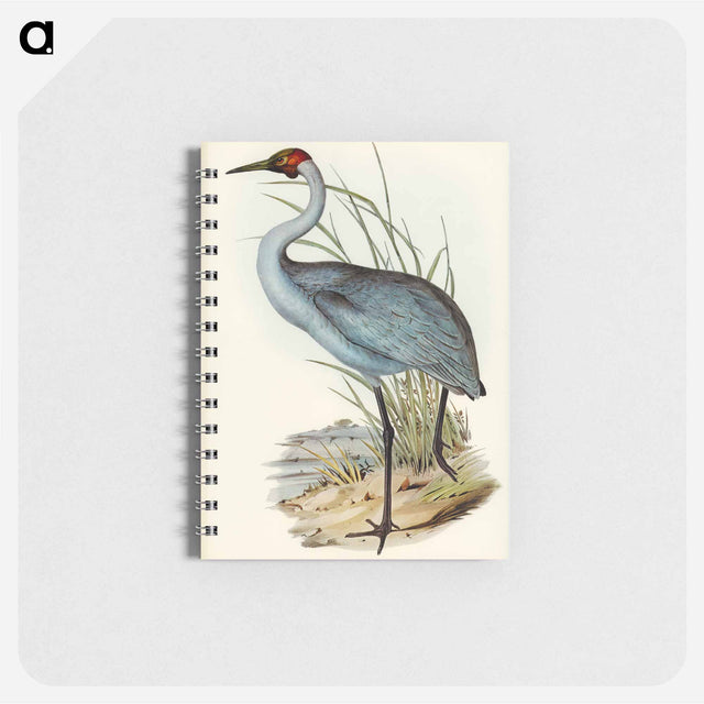 アートメモ帳-Australian Crane
 - オーストラリアの鳥 Memo.