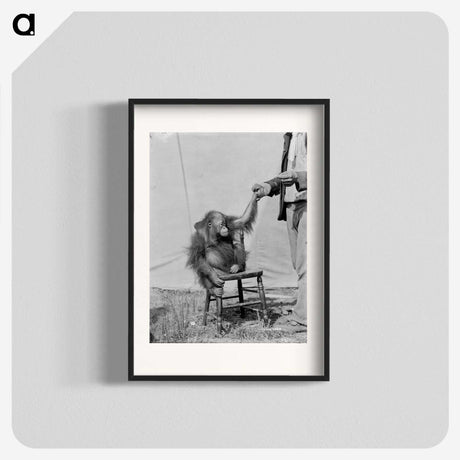 1-11_The-Burton-Brothers_blk
