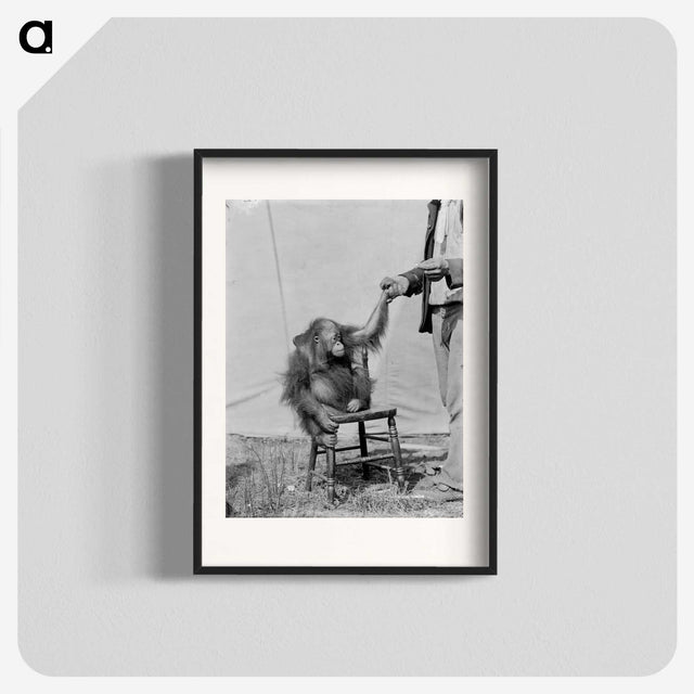 1-11_The-Burton-Brothers_blk