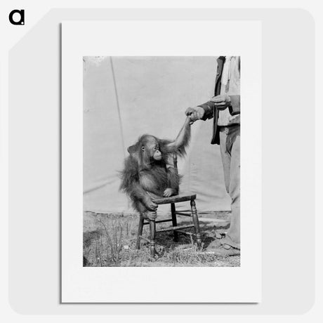 1-11_The-Burton-Brothers_picture