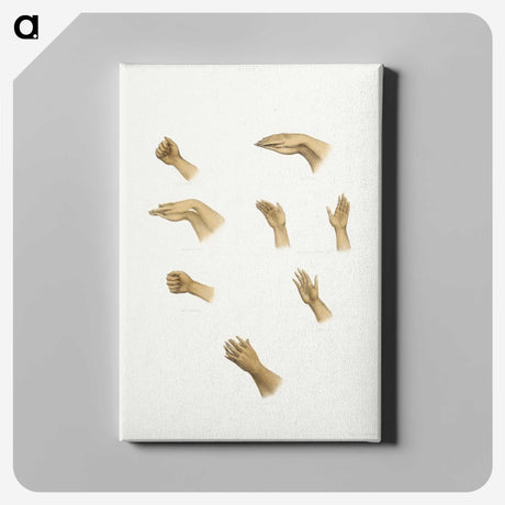 1-11_The-Daily-Prayers-of-the-Brahmins_canvas