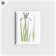 1-11_The-Genus-Iris_memo