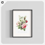 1-11_The-Language-of-Flowers_blk