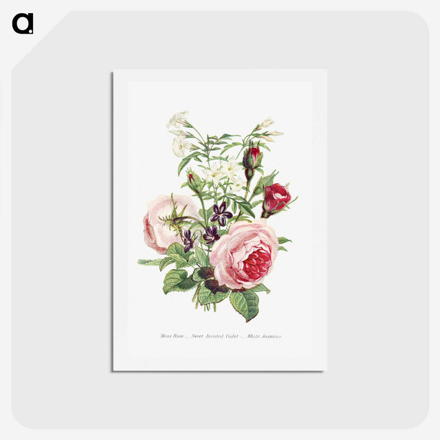 1-11_The-Language-of-Flowers_hagaki