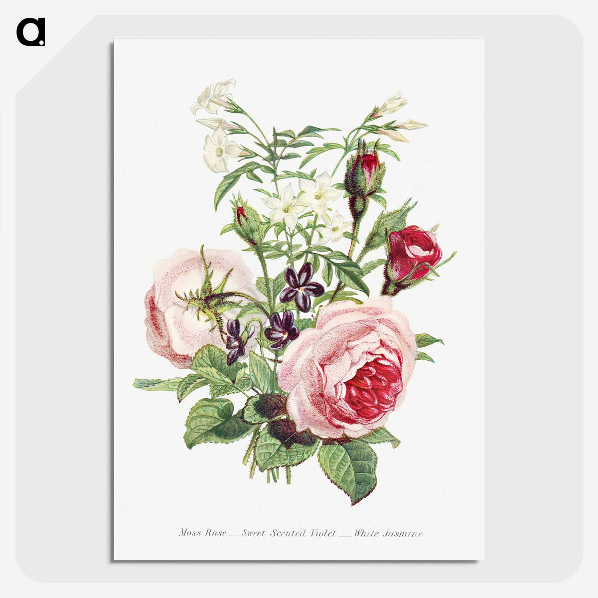 1-11_The-Language-of-Flowers_picture-crop