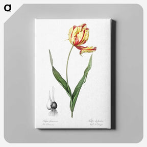 1-11_The-Lilies_canvas