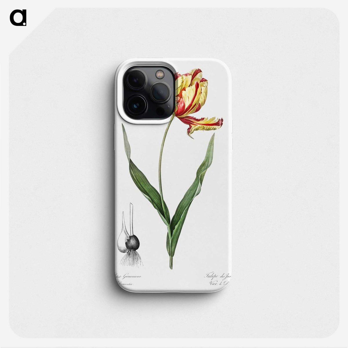 1-11_The-Lilies_phone