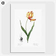 1-11_The-Lilies_picture