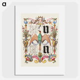アートポスター-Guide for Constructing the Letters u and v
 - 書道のお手本 Poster.