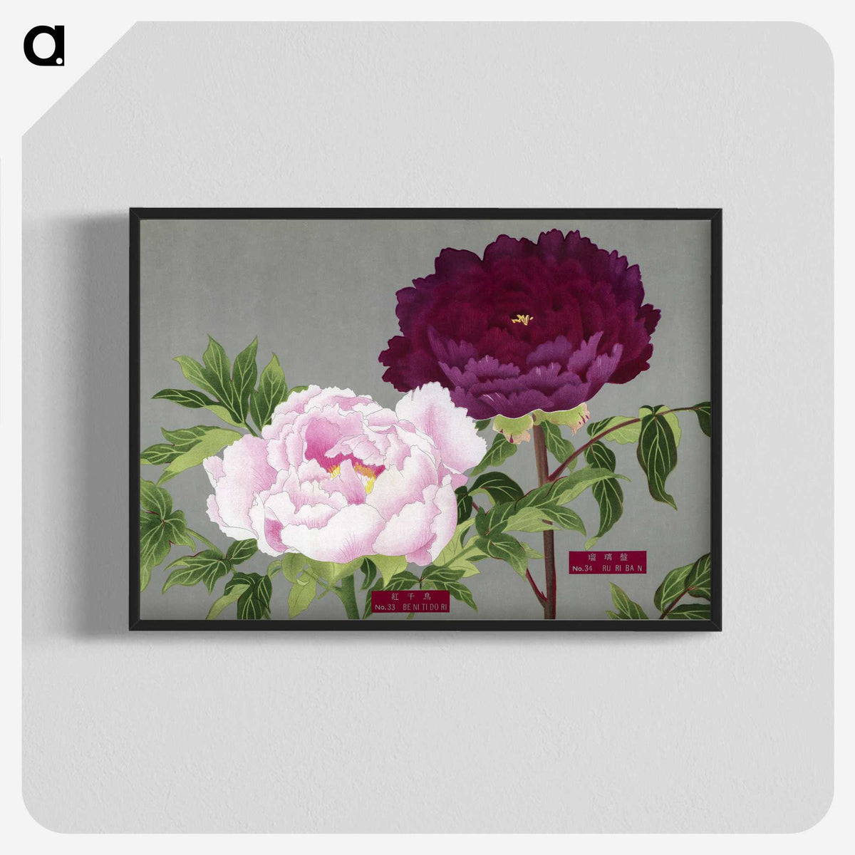 1-11_The-Picture-Book-of-Peonies_blk-crop