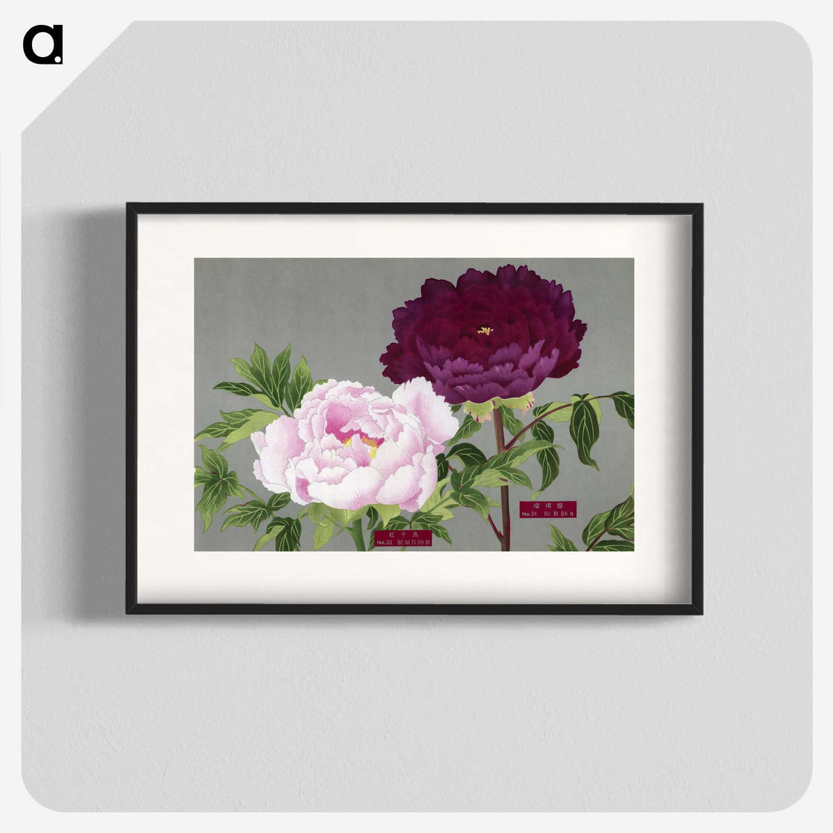 1-11_The-Picture-Book-of-Peonies_blk