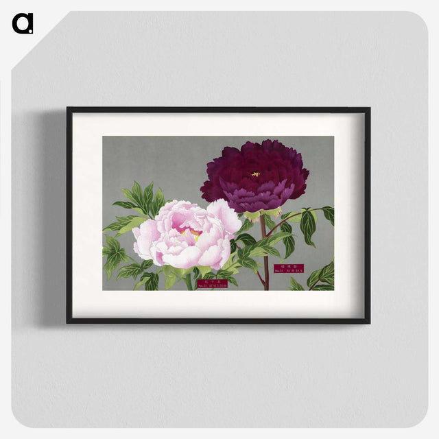 1-11_The-Picture-Book-of-Peonies_blk
