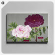 1-11_The-Picture-Book-of-Peonies_canvas