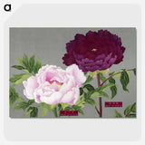 1-11_The-Picture-Book-of-Peonies_picture-crop