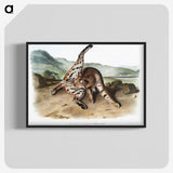 1-11_The-Viviparous-Quadrupeds_blk-crop