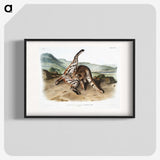 1-11_The-Viviparous-Quadrupeds_blk