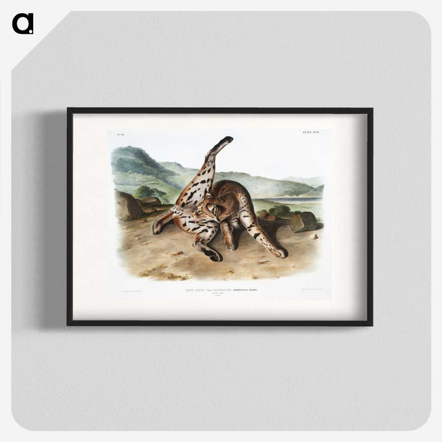 1-11_The-Viviparous-Quadrupeds_blk