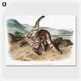 1-11_The-Viviparous-Quadrupeds_picture-crop