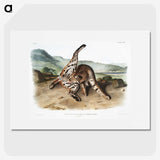 1-11_The-Viviparous-Quadrupeds_picture
