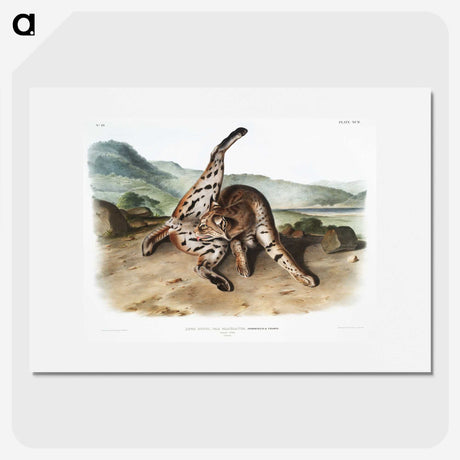 1-11_The-Viviparous-Quadrupeds_picture