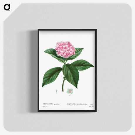 1-11_Treatise-on-Trees-and-Shrubs_blk-crop