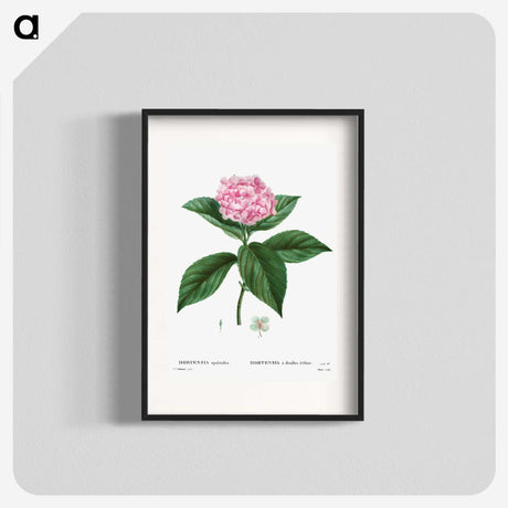 1-11_Treatise-on-Trees-and-Shrubs_blk