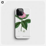 1-11_Treatise-on-Trees-and-Shrubs_phone