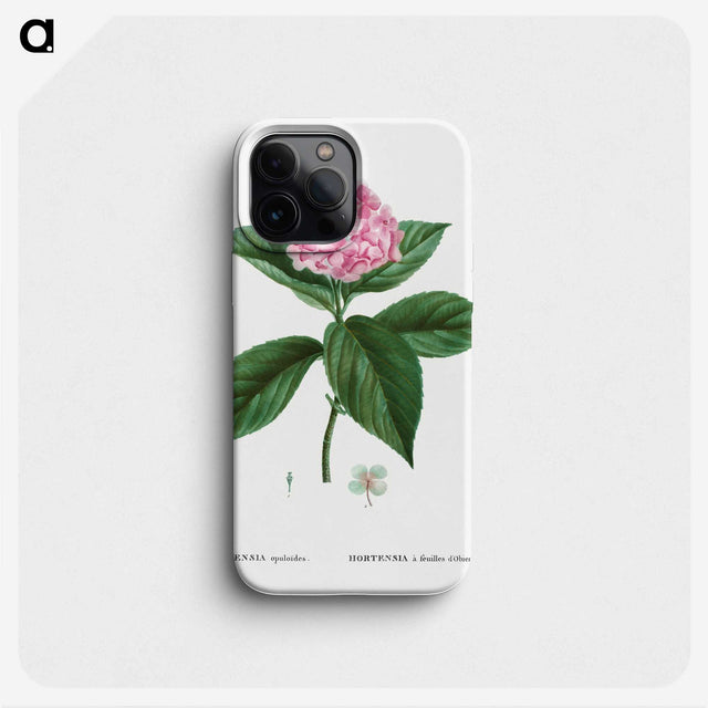 1-11_Treatise-on-Trees-and-Shrubs_phone