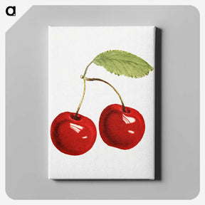 1-11_USDA-Watercolor-Fruit-Painting-Collection_canvas