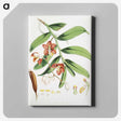 1-11_Walter-Hood-Fitch_canvas