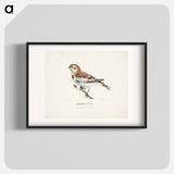 Snow bunting in winter - ヴィルヘルム フォン ライト Poster.