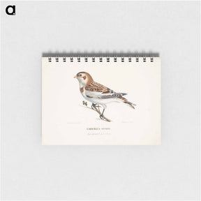 アートメモ帳-Snow bunting in winter - ヴィルヘルム フォン ライト Memo.