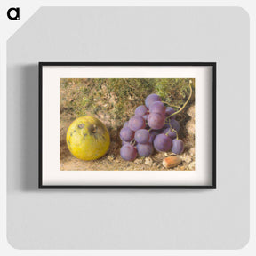 アートポスター-Apple, Grapes and a Cob-Nut - ウィリアム ヘンリー ハント Poster.