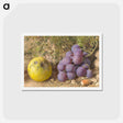 アートポストカード-Apple, Grapes and a Cob-Nut - ウィリアム ヘンリー ハント Postcard.