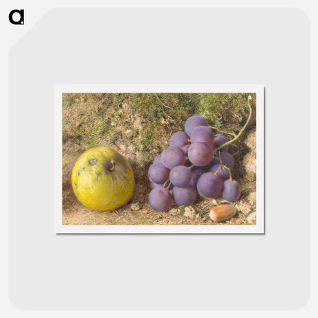 アートポストカード-Apple, Grapes and a Cob-Nut - ウィリアム ヘンリー ハント Postcard.