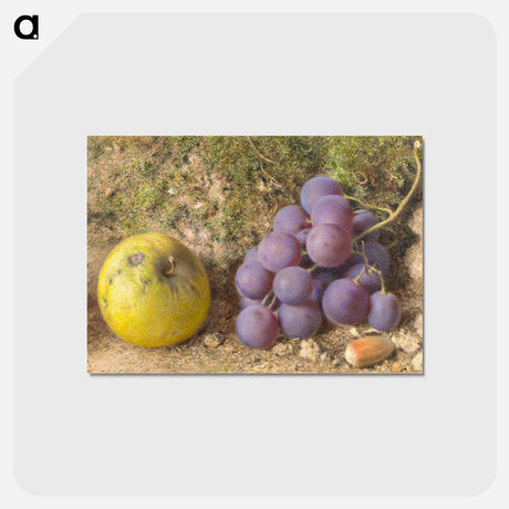 アートポストカード-Apple, Grapes and a Cob-Nut - ウィリアム ヘンリー ハント Postcard.