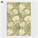 1-11_William-Morris_picture-crop