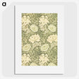 1-11_William-Morris_picture