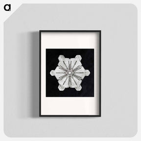 アートポスター-Wilson Bentley's Snowflake 976 - ウィルソン ベントレー Poster.