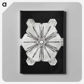 1-11_Wilson-Bentley_canvas