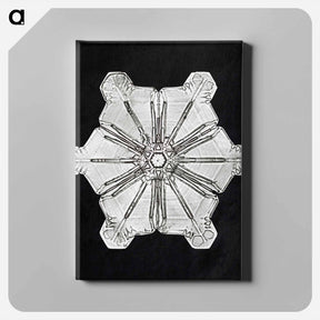 アートパネル-Wilson Bentley's Snowflake 976 - ウィルソン ベントレー Canvas.