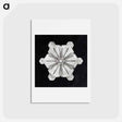 アートポストカード-Wilson Bentley's Snowflake 976 - ウィルソン ベントレー Postcard.
